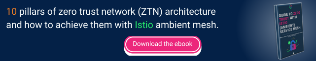 zero trust network architecture