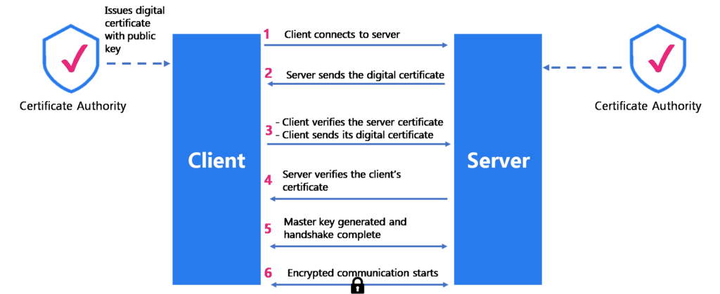 Phases of mTLS between client and server Phases of mTLS between client and server