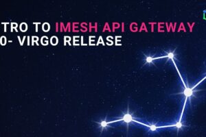 Intro to IMESH API gateway 2.0- Virgo release